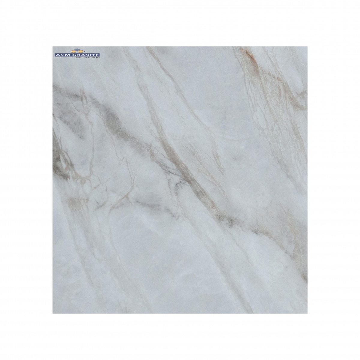 ROYAL LAZIO GREY ( 600 x 1200, Creanza ) - 2