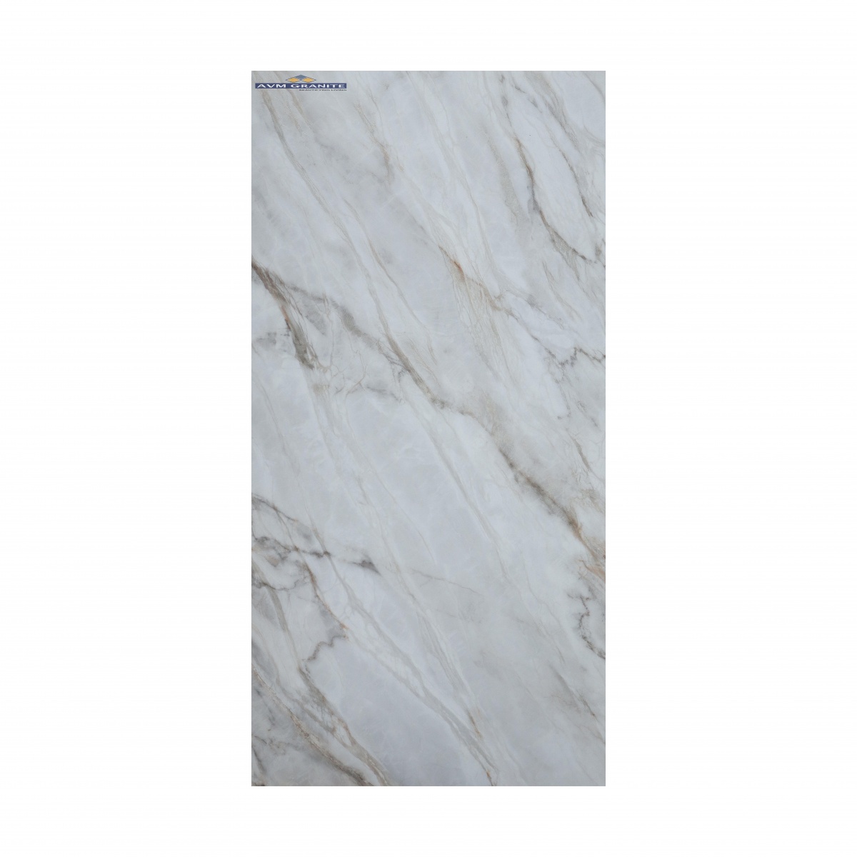 ROYAL LAZIO GREY ( 600 x 1200, Creanza ) - 6