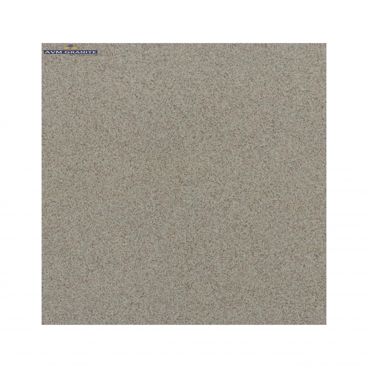 Cookie Polished (600 x 600, marfil) - 2