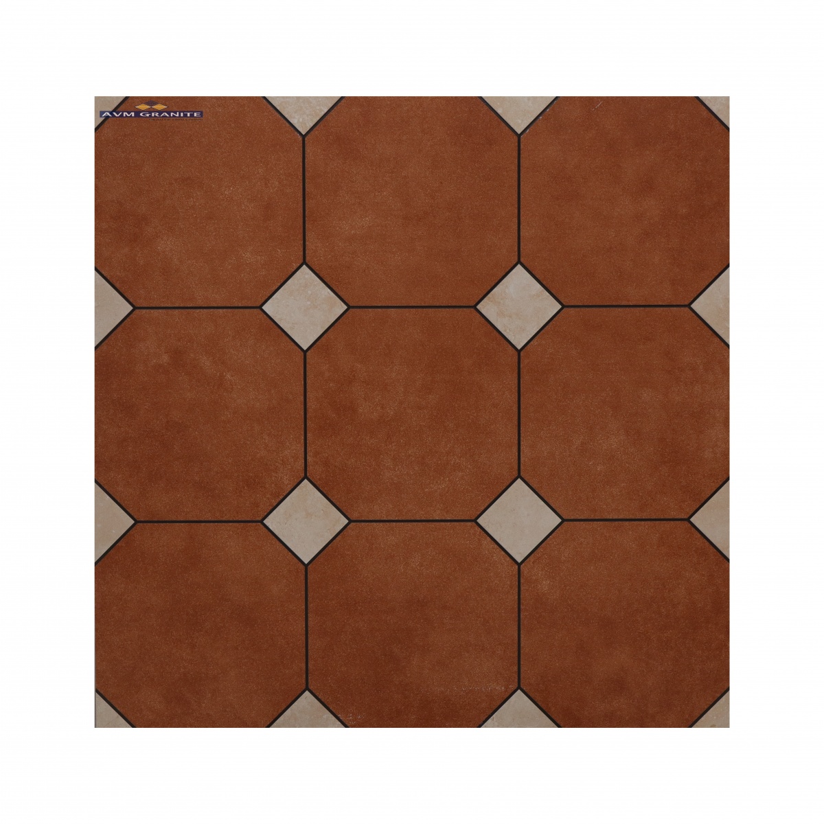 6623-Cotto (600 X 600,TMT) - 5