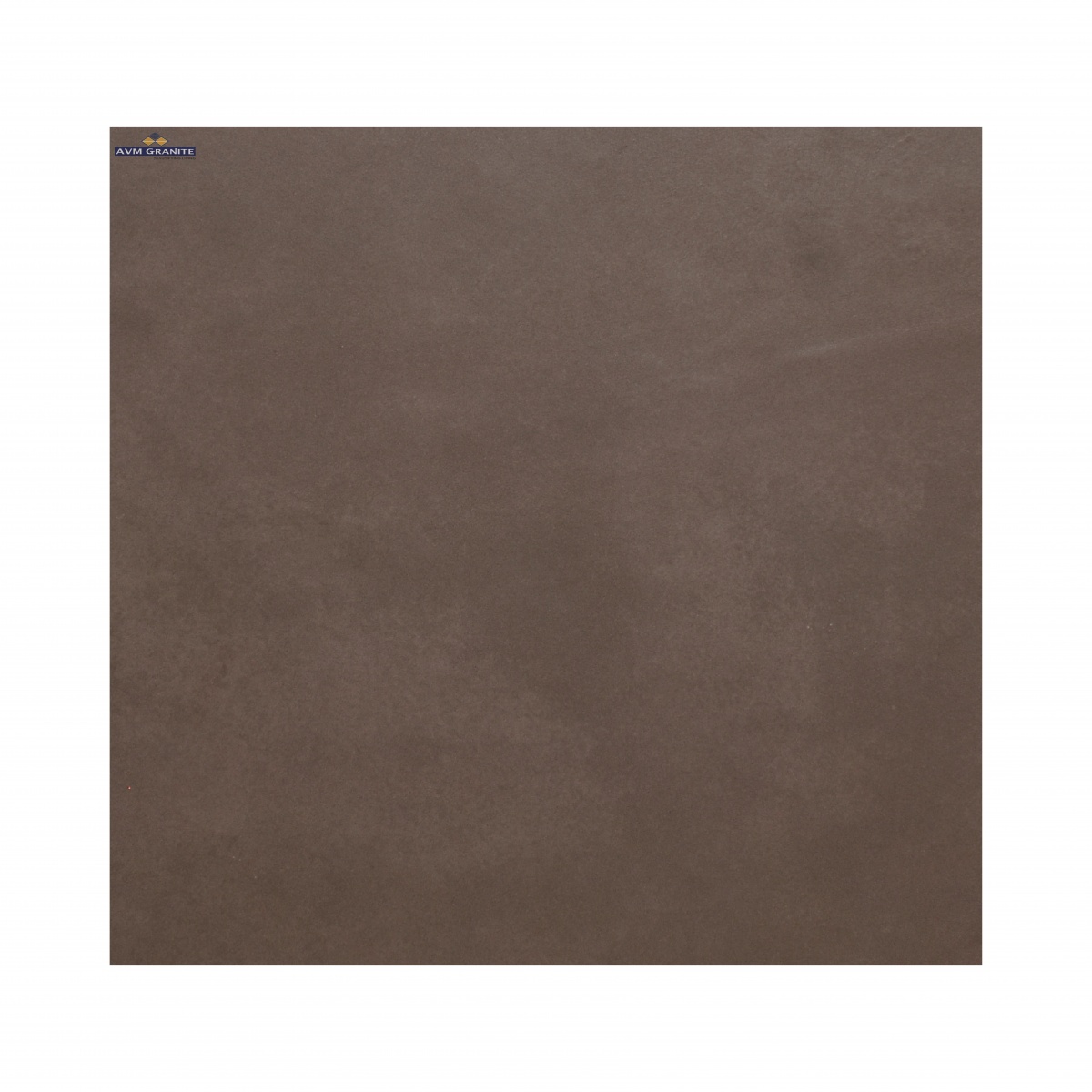 Raw Tan (600 x 1200, Marfil) - 5