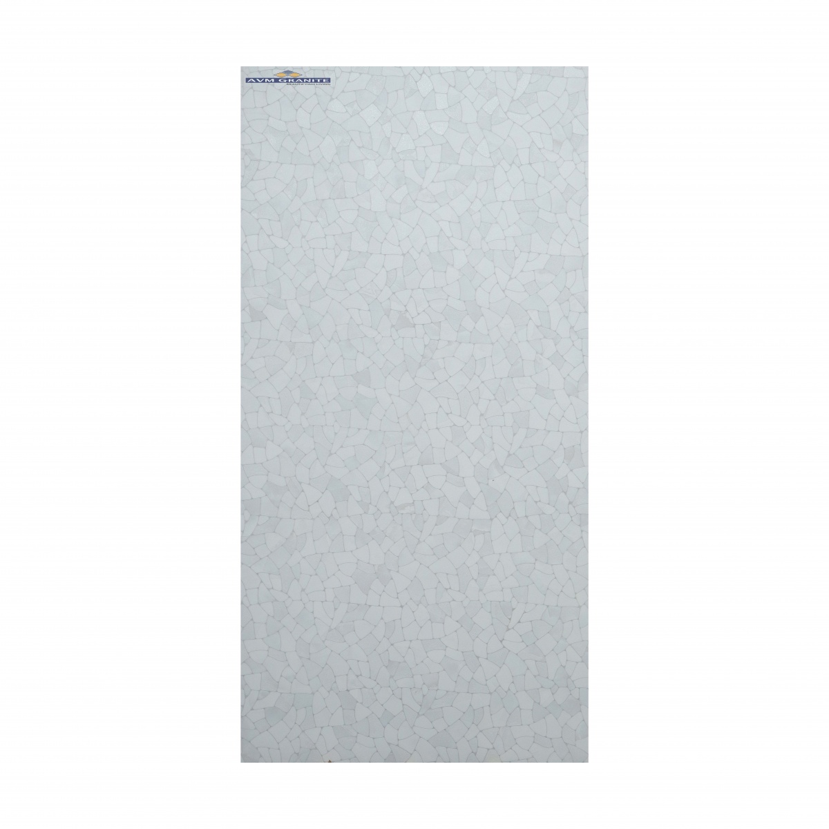 Savips Bianco Matt Matt with Glossy effect (600 x 1200, Exotica) - 6