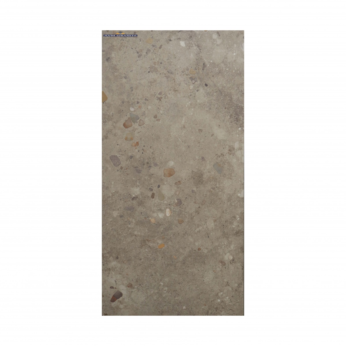 Exotica Stone Pearl Matt Matt with Glossy effect M (600 x 1200, Exotica) - 6
