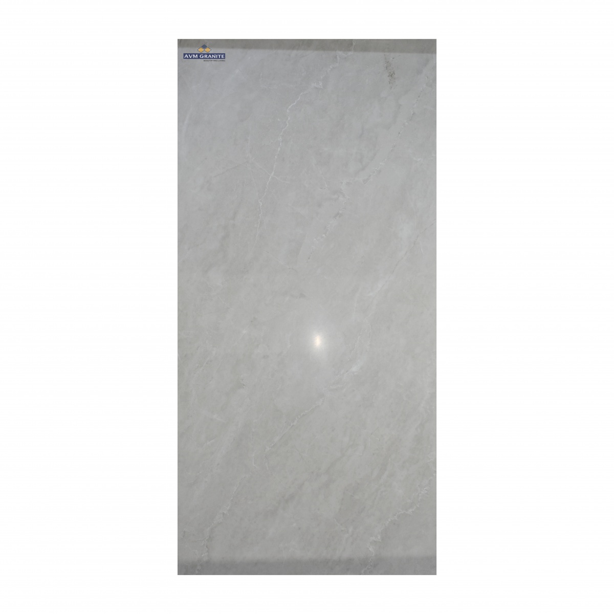 Hoedix White Satin+ Satin Matt Endless (600 x 1200, Motto) - 4
