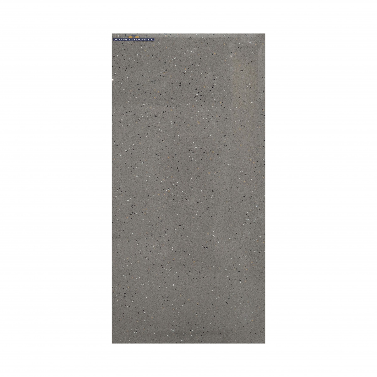 Mosaic Fossil Polished  (600 x 1200, Velbon) - 6