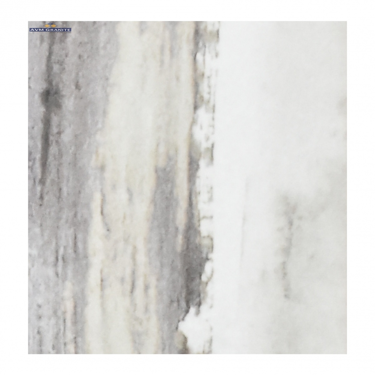 Abstract Amazonic (100 x 400, Larios) - 2