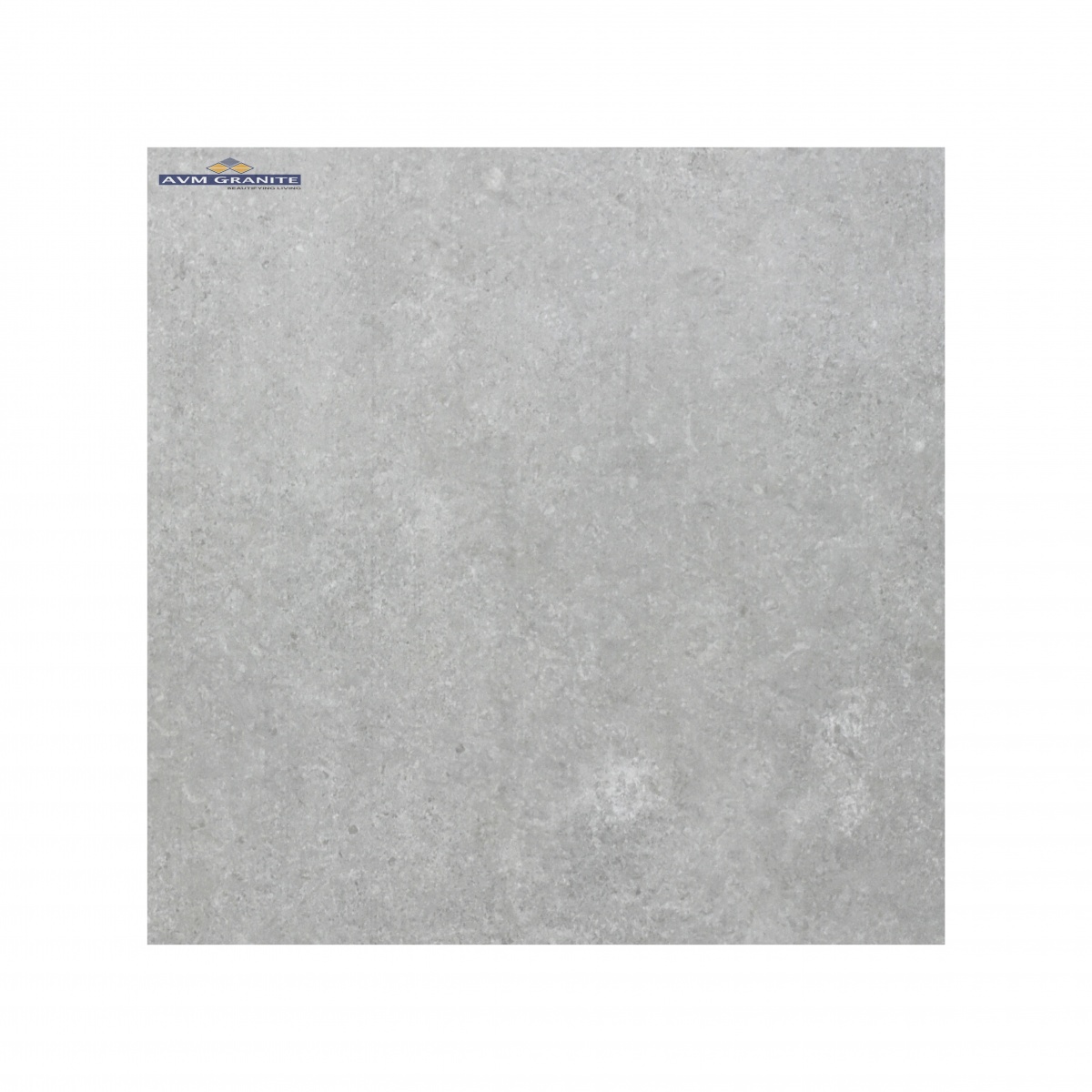 Palmiro Grey  Protex Punch (600 x 1200, Itaca) - 2