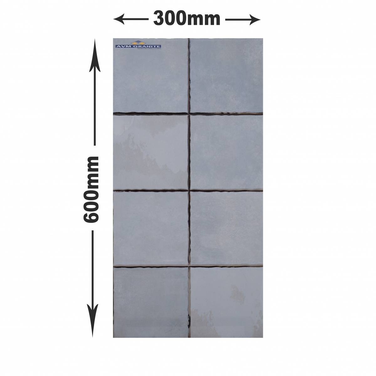 209 Light (300 X 600,TMT) - 5