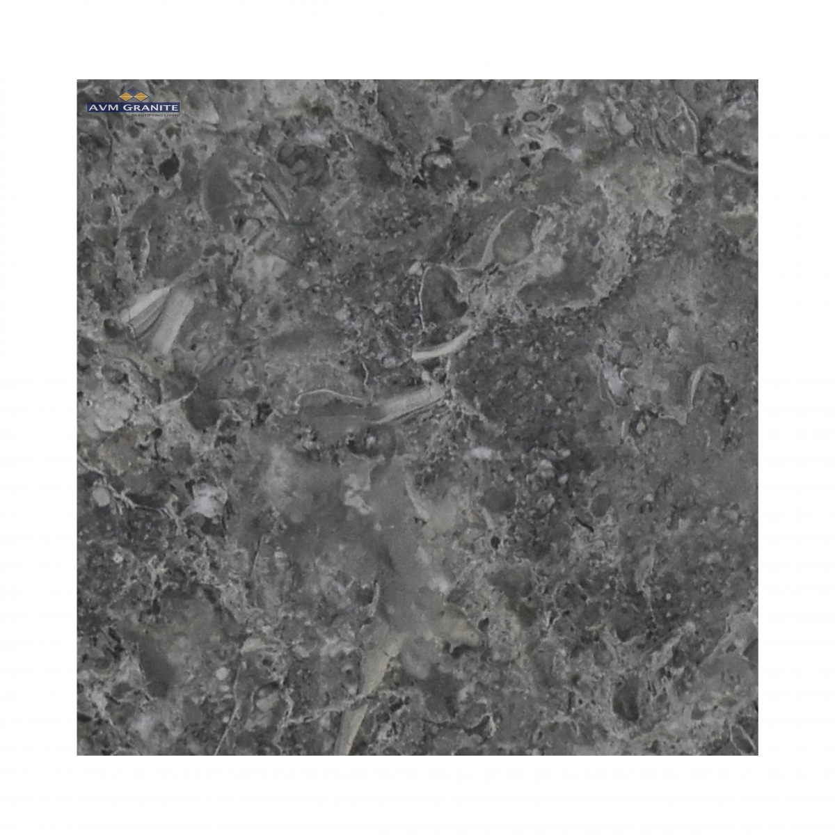 33680 Dark (600 x 1200, Renite) - 2