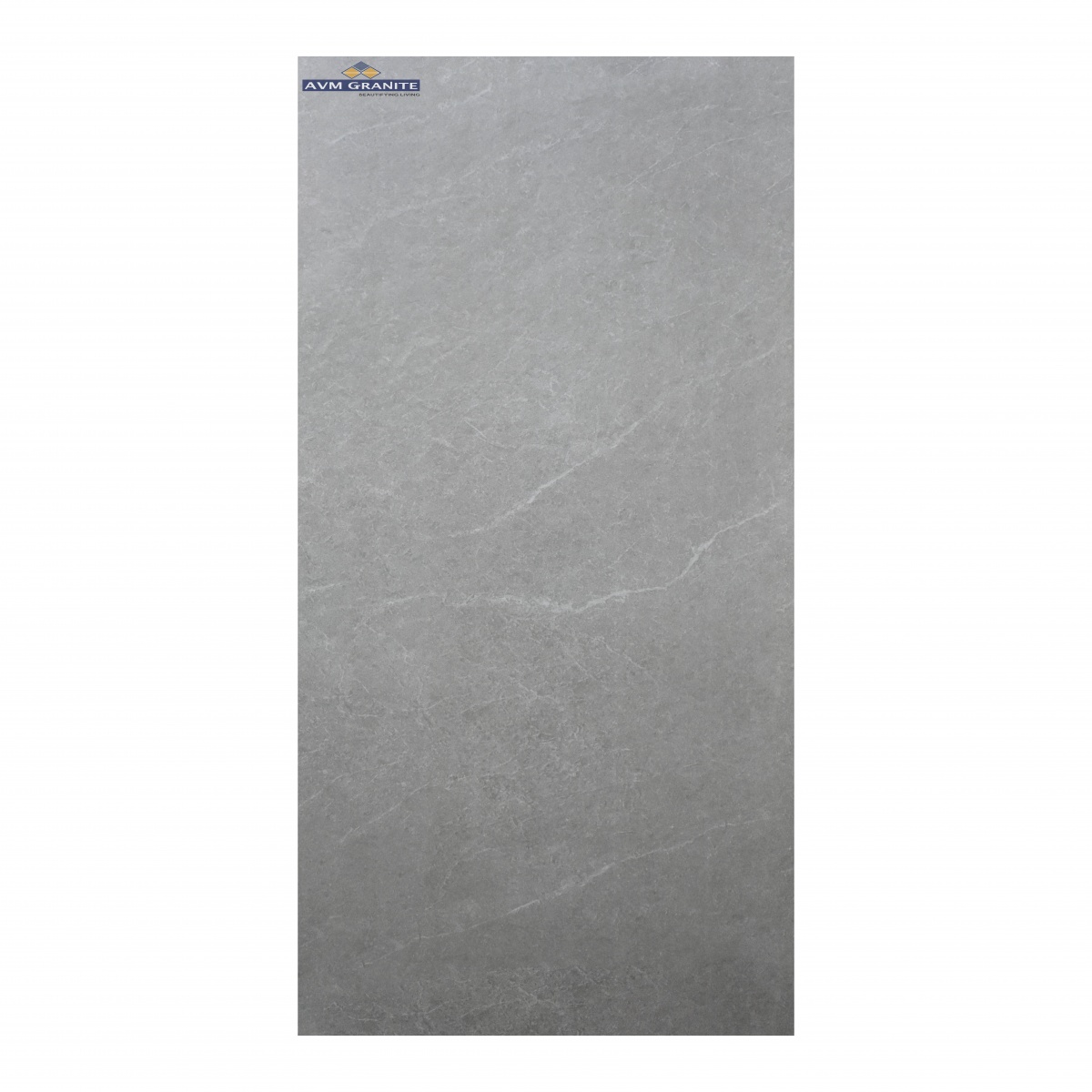 Costco Grigio Granula (600 x 1200, Monza) - 6