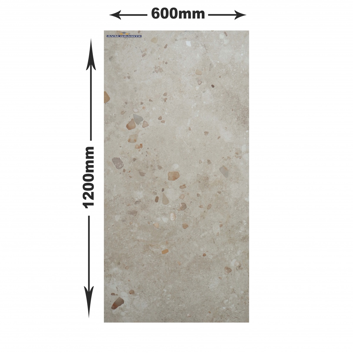 Exotica Stone Blanco Matt Matt with Glossy effect M (600 x 1200, Exotica) - 5