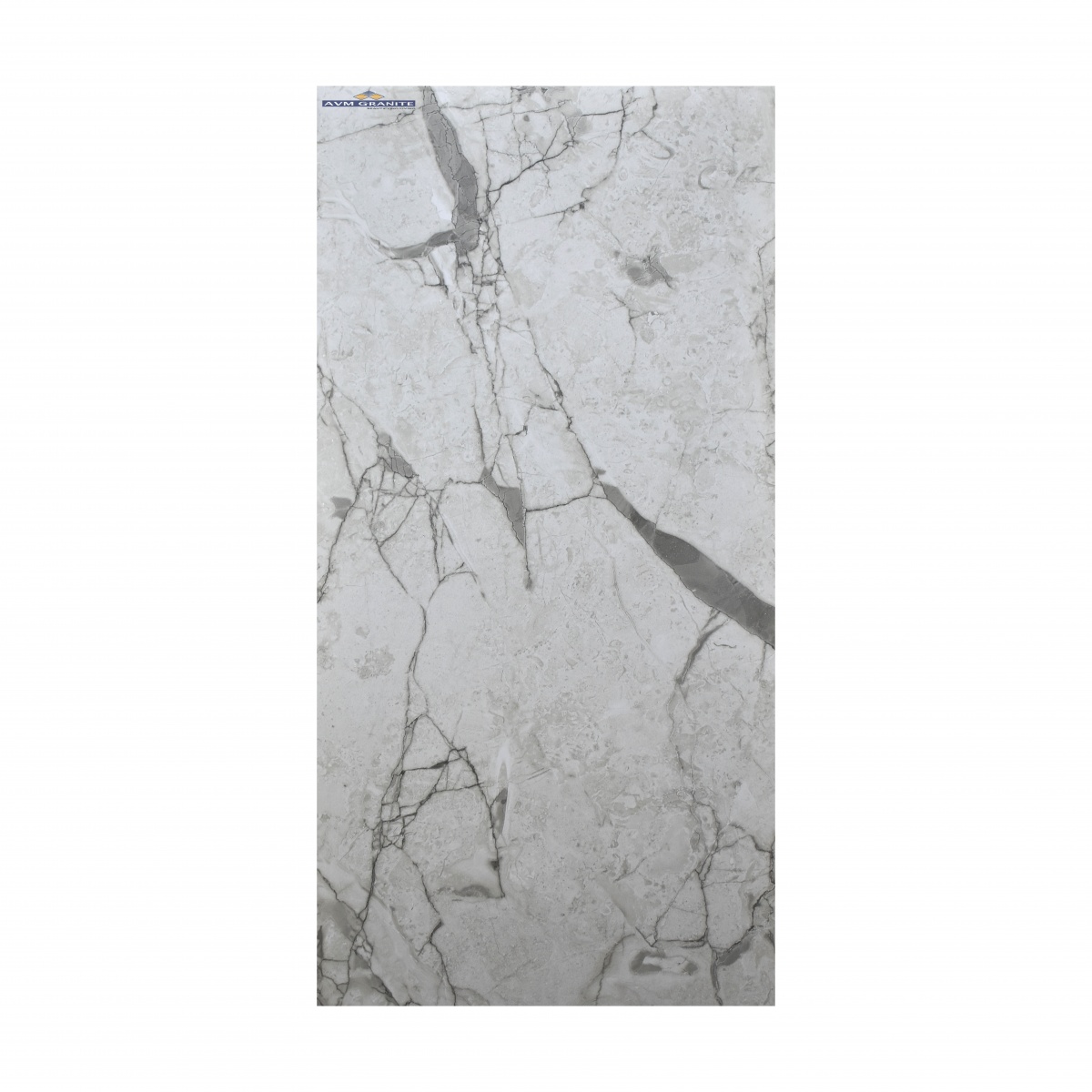Rozalia French Grey Carving MT Glossy (600 x 1200, Itaca) - 6