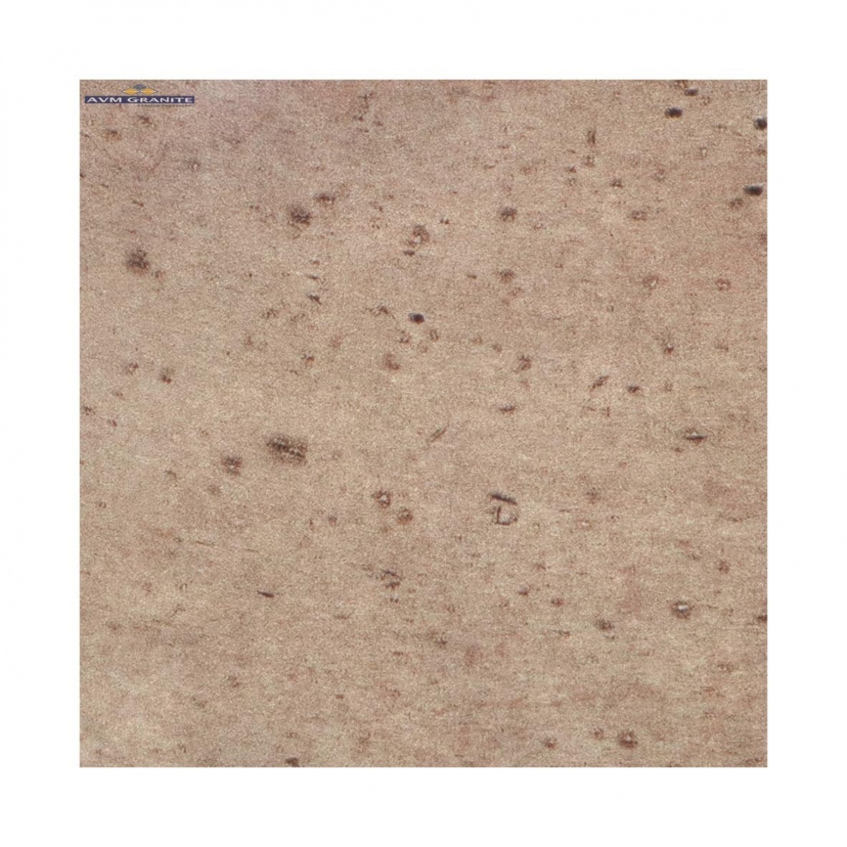 Colonial Kite Koala (165 x 165,TMT) - 2