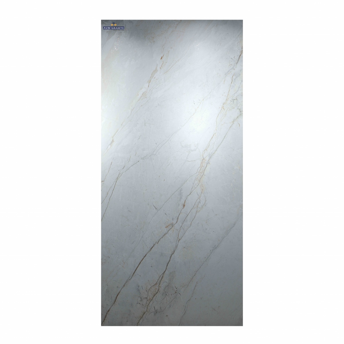 Roots Grey Spa Matt Book Match (1200 x 2400, Motto) - 3