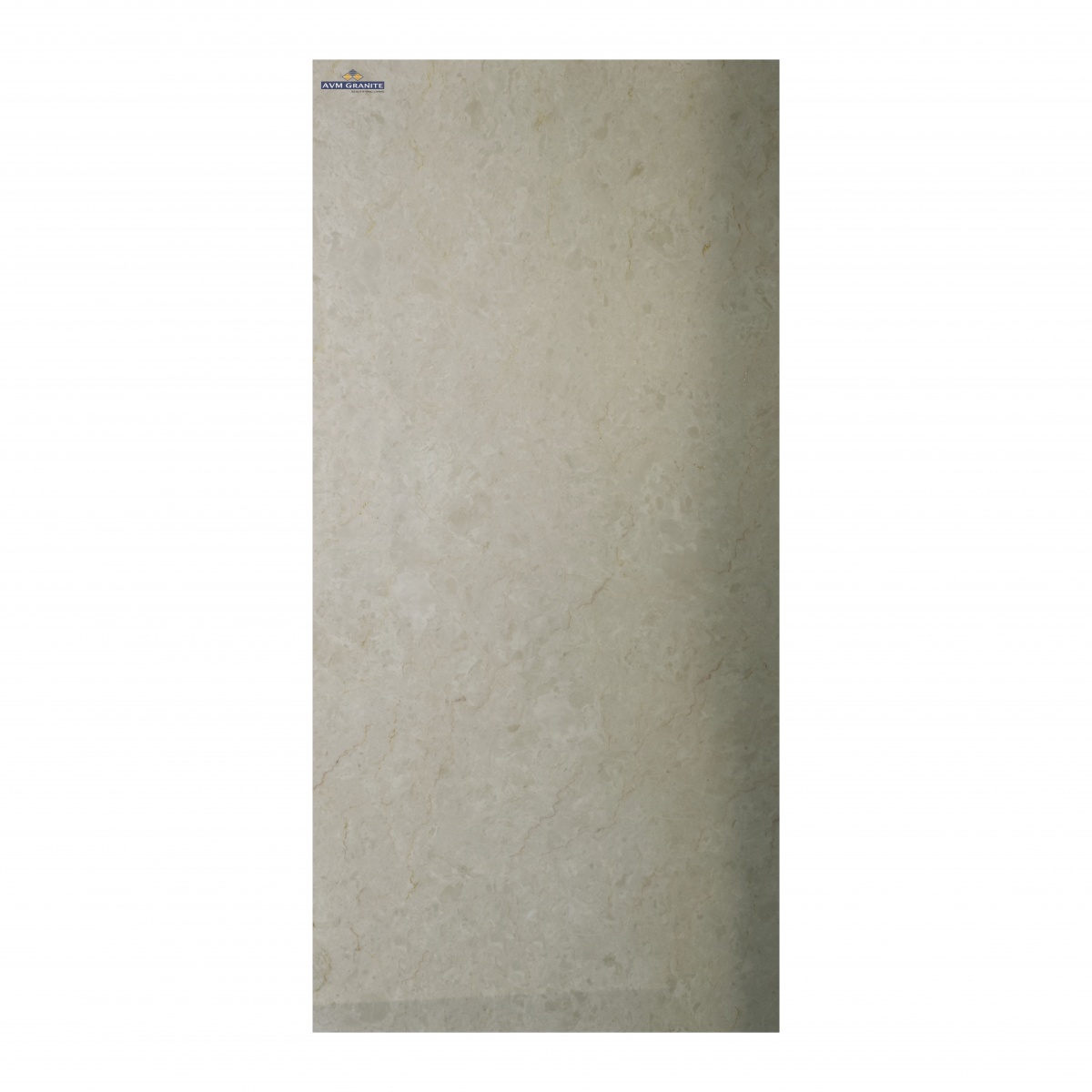 Levika Beige Endless+Carving Matt Carving (600 x 1200, Motto) - 4