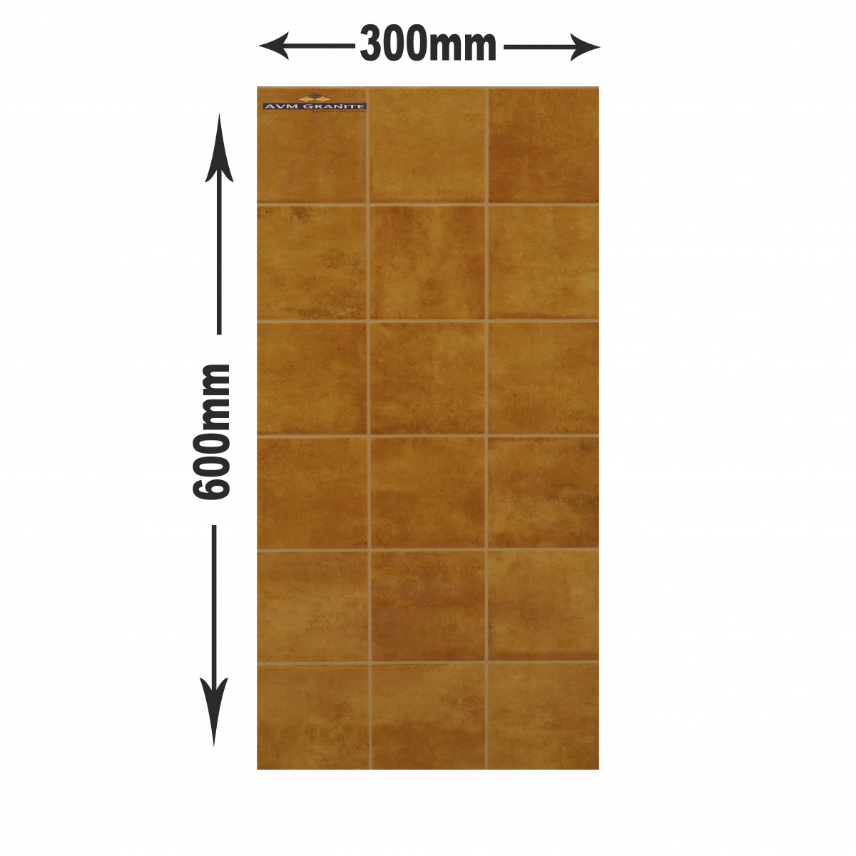 581-Ocre (300 X 600,TMT) - 5