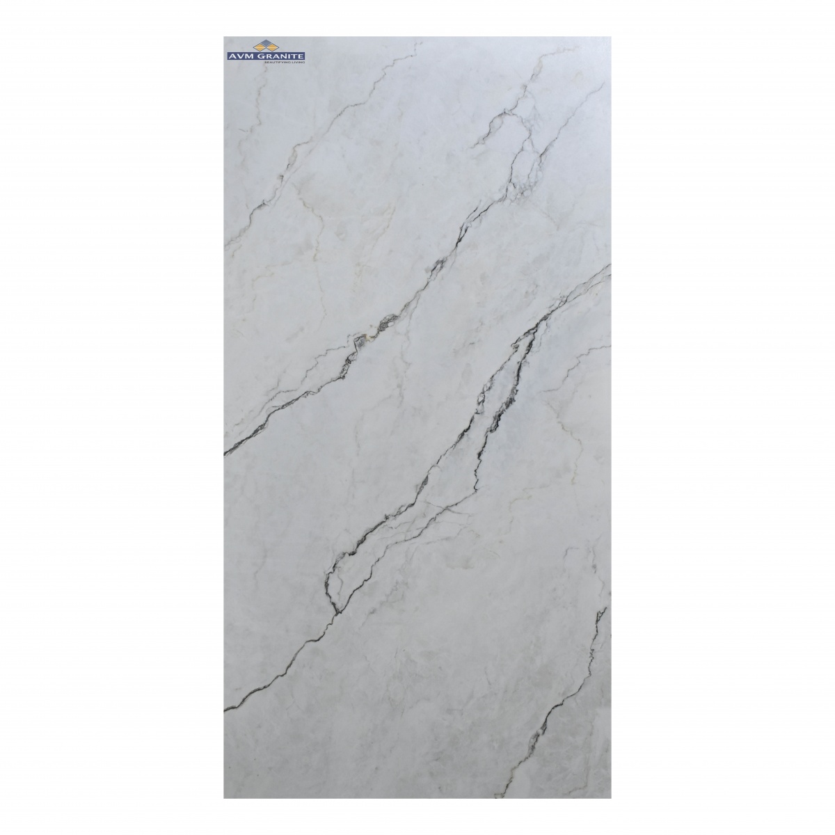 CV Freckle French Grey Carving (600 x 1200, Itaca) - 6