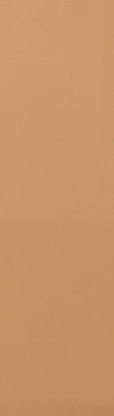 Biscuit Plain Terra ( 50 x 200, Paradise )
