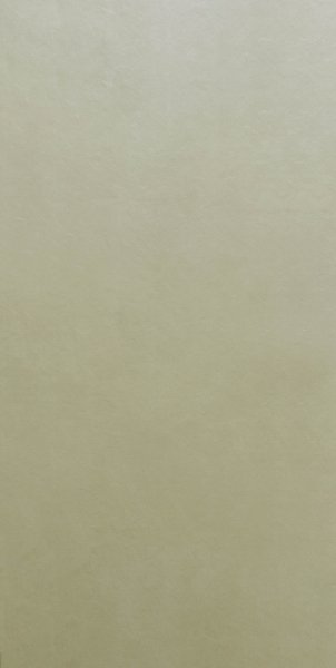 Rentro Beige  (600 x 1200, Monza)