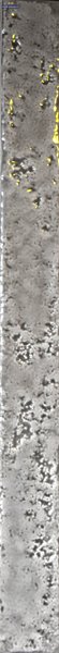 Puck Grey (50 x 500, Larios)