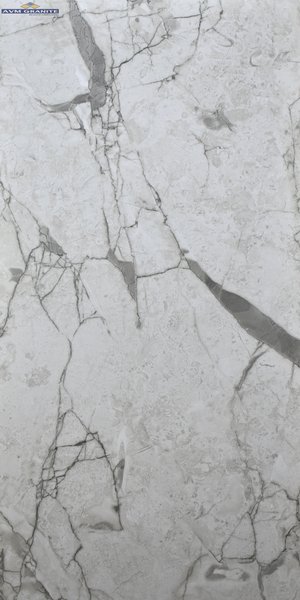 Rozalia French Grey Carving MT Glossy (600 x 1200, Itaca)