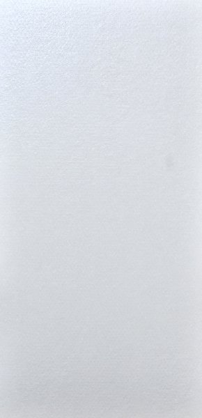 Antonia Opal Accents Matt (600 x 1200, Qutone)