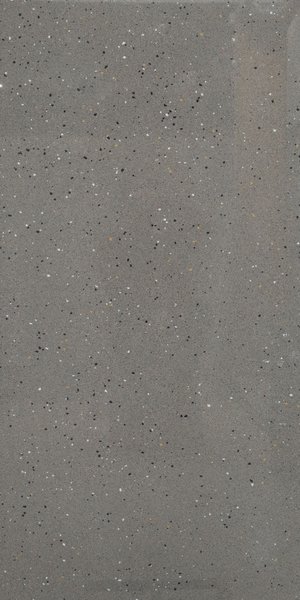 Mosaic Fossil Polished  (600 x 1200, Velbon)