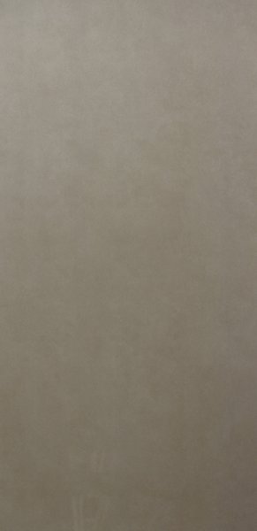 Levels Pearl Digi Matt 8.5mm (600 x 1200, Motto)