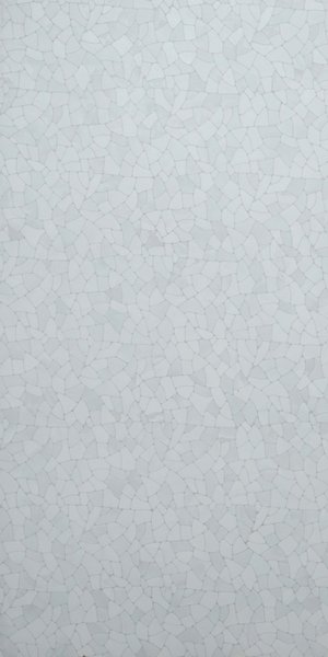 Savips Bianco Matt Matt with Glossy effect (600 x 1200, Exotica)