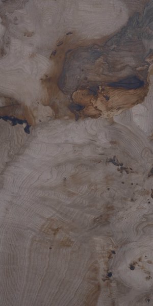 Birch Beige  (600 x1200, Lorence)