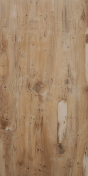 Kumbak  Yellow (600 x1200, Lorence)