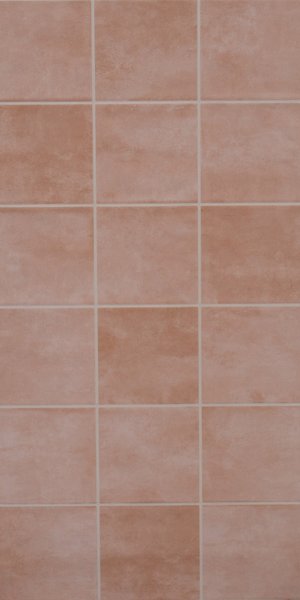 581-Rosa (300 X 600,TMT)