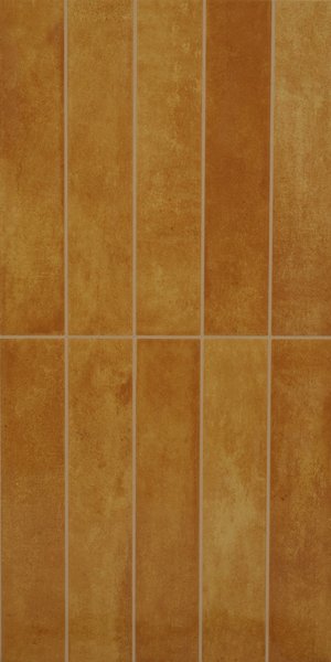 582-Ocre (300 X 600,TMT)